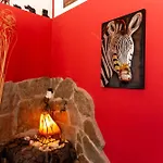 Casa Palmeras Parque Holandes