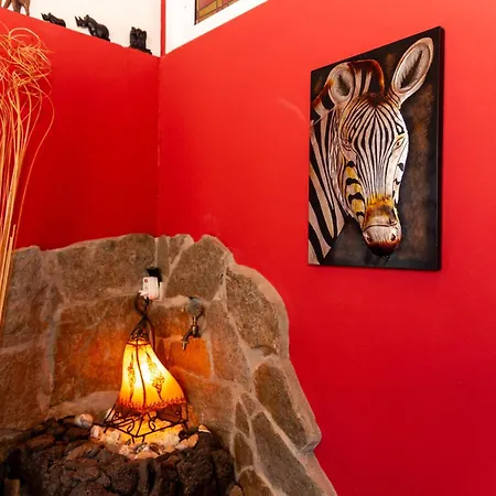 Casa Palmeras Parque Holandes