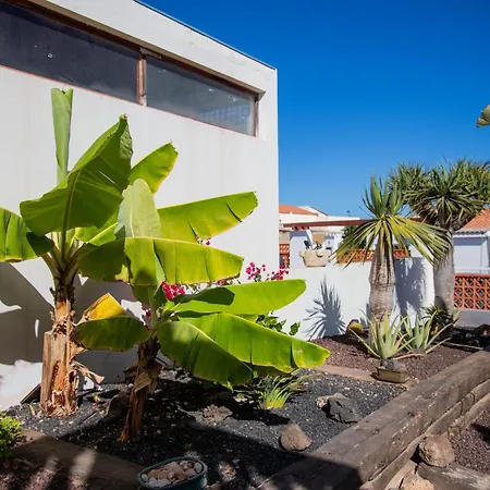 Casa Palmeras فيلة Parque Holandes