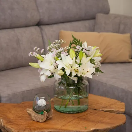 Casa Palmeras فيلة Parque Holandes