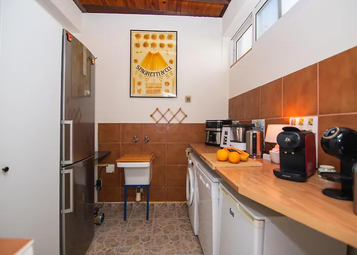 Casa Palmeras Villa Parque Holandes