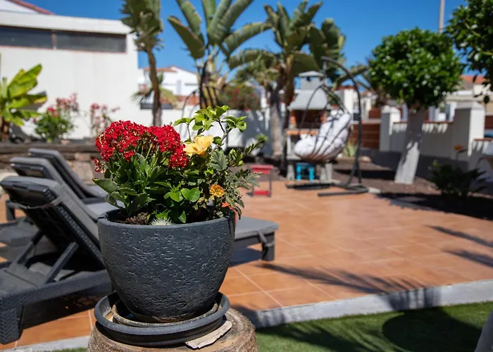 Casa Palmeras Parque Holandes