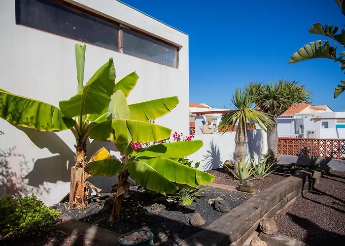 Casa Palmeras Villa Parque Holandes