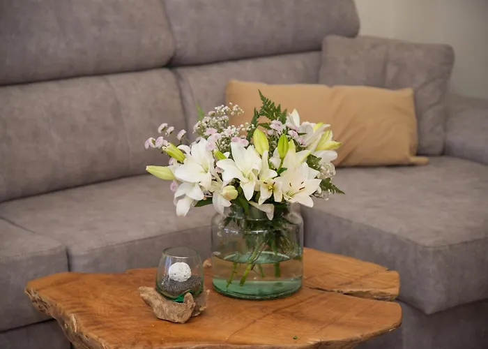 Casa Palmeras Villa Parque Holandes