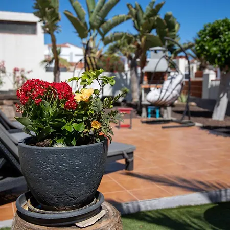 Casa Palmeras Parque Holandes