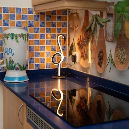 Casa Palmeras Villa Parque Holandes